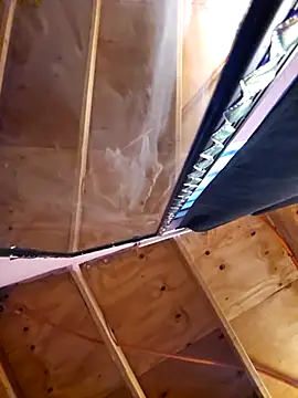 Eljilipoyas69 online show from December 2, 2025, 4:58 am