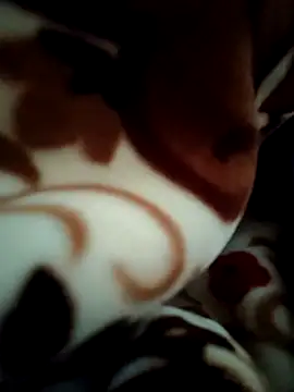 Hot pooja55 online show from February 11, 2026, 6:57 am