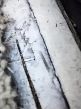 Jeremycle online show from October 15, 2025, 5:43 pm