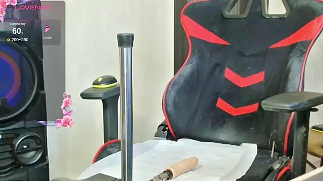 Snapshot of PrettyMegan chatting on November 12, 2025, 11:25 am PrettyMegan online show from November 12, 2025, 11:25 am