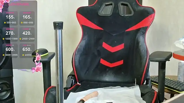 Snapshot of PrettyMegan chatting on November 11, 2025, 11:38 am PrettyMegan online show from November 11, 2025, 11:38 am