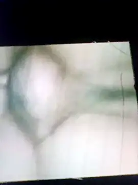 Snapshot of dannygallante chatting on December 5, 2025, 5:17 am dannygallante online show from December 5, 2025, 5:17 am