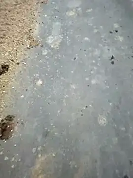 SmartLoda143 online show from November 19, 2025, 11:10 am