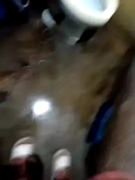 Bebicho14 online show from April 12, 2026, 6:38 am