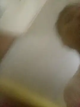 Bebicho14 online show from February 8, 2026, 6:22 am