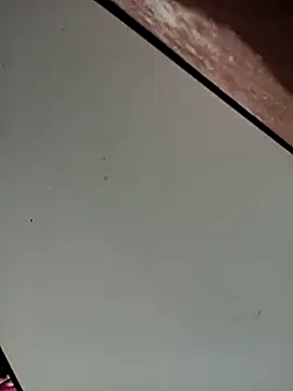 Bebicho14 online show from November 16, 2025, 5:23 am