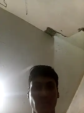 Bebicho14 online show from September 26, 2025, 1:45 am