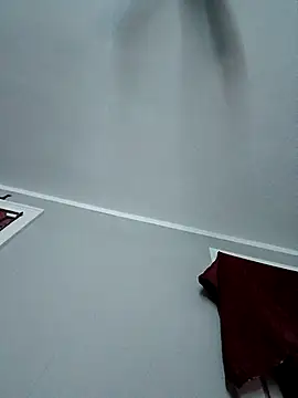 Dropdingo online show from November 4, 2025, 4:38 am