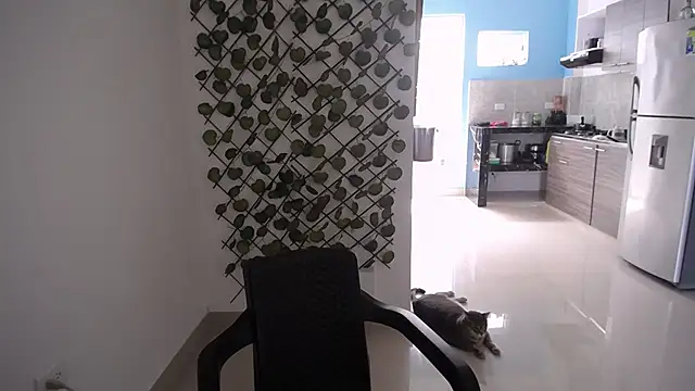 Snapshot of yohacriss chatting on December 15, 2025, 4:46 pm yohacriss online show from December 15, 2025, 4:46 pm