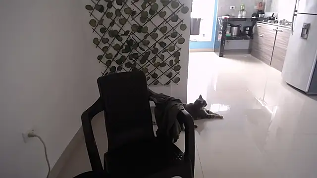 Snapshot of yohacriss chatting on December 16, 2025, 8:35 pm yohacriss online show from December 16, 2025, 8:35 pm