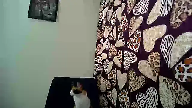 Snapshot of KittyHoleshot87 chatting on September 19, 2025, 4:33 pm KittyHoleshot87 online show from September 19, 2025, 4:33 pm