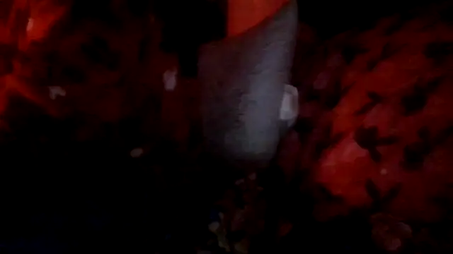 prettymaa online show from October 1, 2025, 3:11 am