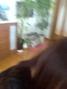 AYA dayo online show from March 13, 2026, 12:48 am