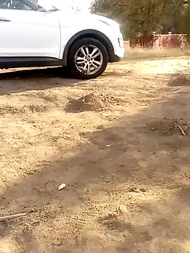 Snapshot of mikey209209fig chatting on September 25, 2025, 3:18 pm mikey209209fig online show from September 25, 2025, 3:18 pm