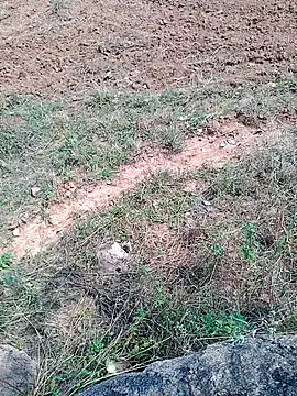 Shreyaaa 1 online show from November 6, 2025, 7:23 am