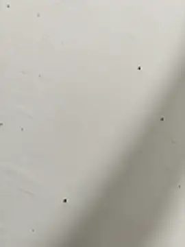 Snapshot of Qksbzozsbsks chatting on November 3, 2025, 10:52 am Qksbzozsbsks online show from November 3, 2025, 10:52 am