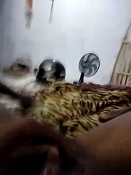 sertaonegro online show from March 5, 2026, 11:29 am