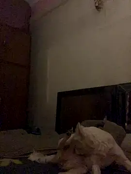 Kajal-Shemale69 online show from December 16, 2025, 11:25 am