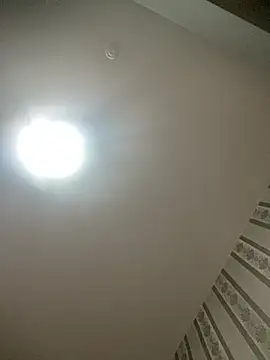 gaucha5 online show from February 4, 2026, 10:49 pm