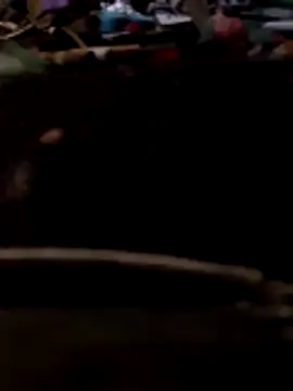 Bianomc1974 online show from November 8, 2025, 7:28 pm