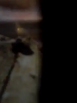 Bianomc1974 online show from November 30, 2025, 4:19 pm