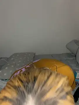 nekoyuna 1612 online show from March 6, 2026, 11:49 am