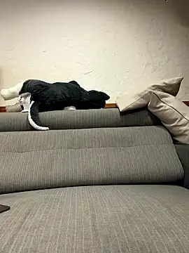 black xun online show from January 16, 2026, 2:32 pm