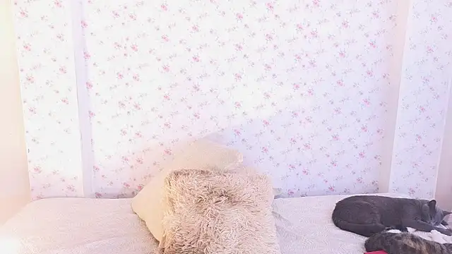 dahiana marin online show from February 2, 2026, 7:46 pm