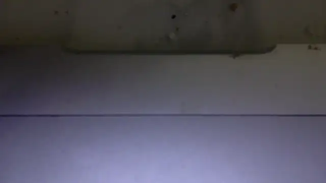 edger4lif3 online show from November 15, 2025, 6:56 pm