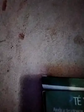  tetas 92 online show from March 7, 2026, 1:27 pm