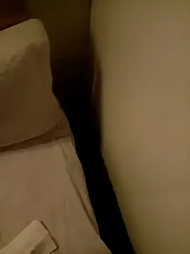 Zl033677chinchinsauchin online show from November 27, 2025, 3:23 pm