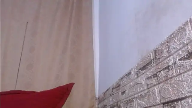Snapshot of Bicky_24 chatting on May 26, 2026, 8:56 am Bicky 24 online show from May 26, 2026, 8:56 am