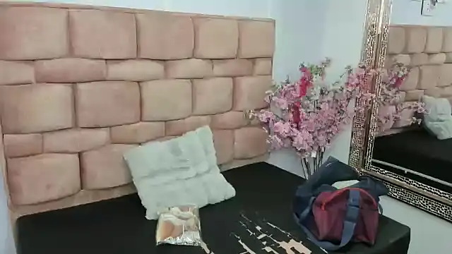 Snapshot of sharik_noa chatting on November 26, 2025, 7:25 pm sharik noa online show from November 26, 2025, 7:25 pm