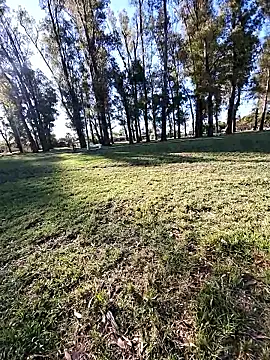 Snapshot of Almendrasexy chatting on October 25, 2025, 8:53 pm Almendrasexy online show from October 25, 2025, 8:53 pm