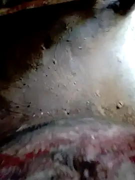 Snapshot of bigdaddyboy46 chatting on October 20, 2025, 9:43 am bigdaddyboy46 online show from October 20, 2025, 9:43 am