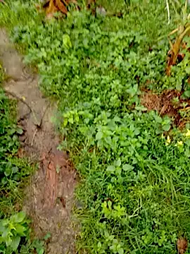 Snapshot of bigdaddyboy46 chatting on September 12, 2025, 2:01 am bigdaddyboy46 online show from September 12, 2025, 2:01 am