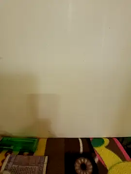 Snapshot of roshankakol chatting on November 19, 2025, 10:15 am roshankakol online show from November 19, 2025, 10:15 am