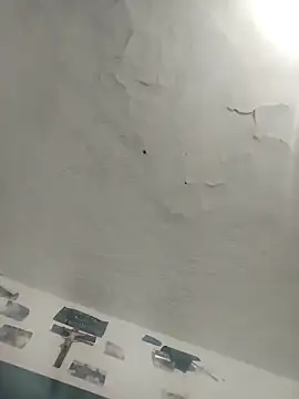 Ferxxxo1503 online show from December 2, 2025, 4:58 am