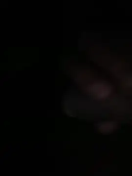 Flash356 online show from February 24, 2026, 9:04 pm