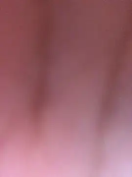 luzmelzinha online show from April 2, 2026, 1:57 am