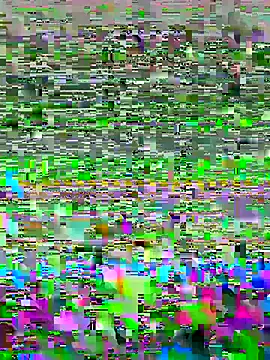 luzmelzinha online show from May 2, 2026, 5:34 am