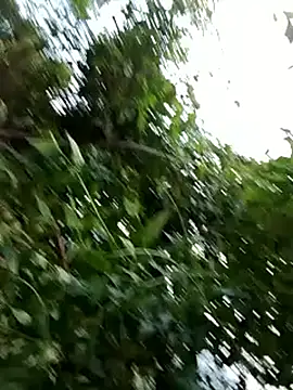 -Xuka-200 online show from October 20, 2025, 9:54 am