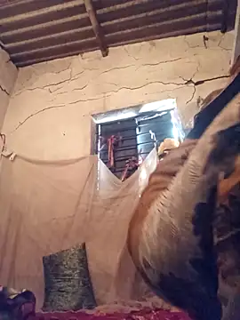 Notyriya7 online show from April 12, 2026, 4:49 am