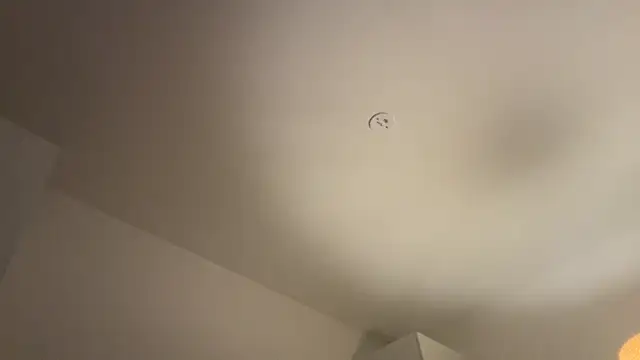 Snapshot of Swedishfish69 chatting on February 8, 2026, 4:37 pm Swedishfish69 online show from February 8, 2026, 4:37 pm