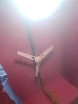 Sk payalji online show from November 25, 2025, 7:36 pm