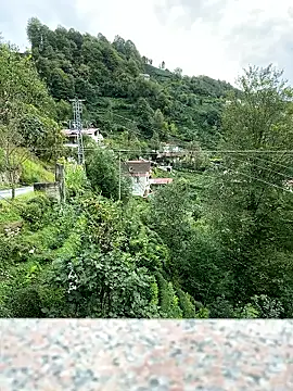 LAZ3R1 online show from October 27, 2025, 4:57 am