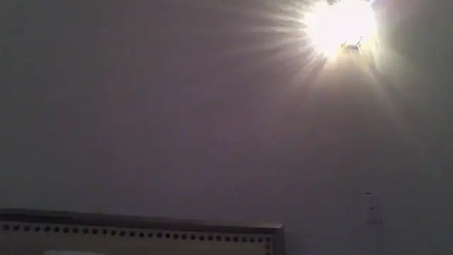 busnfatnutsLildee online show from July 26, 2026, 5:14 am