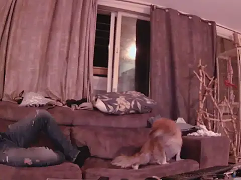 Alexis21821 online show from November 6, 2025, 11:20 pm