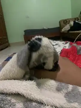 Snapshot of ali__ali210 chatting on October 3, 2025, 1:23 pm ali ali210 online show from October 3, 2025, 1:23 pm