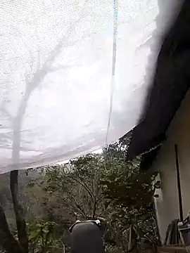 Snapshot of Dung_x chatting on February 7, 2026, 5:48 am Dung x online show from February 7, 2026, 5:48 am